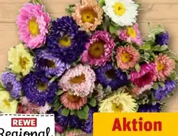 REWE Rewe Regional Sommerastern Angebot