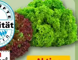 REWE Rewe Regional Bunte Salate Angebot