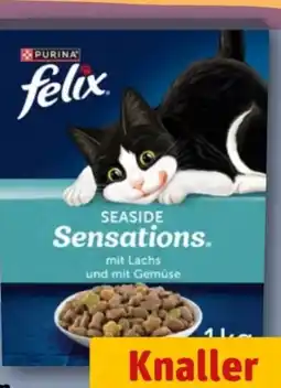 REWE Purina Felix Katzennahrung Angebot