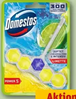 REWE Domestos WC Steine Power 5 Angebot