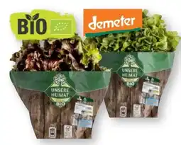 Scheck-in-Center Unsere Heimat Echt & Gut Bio Bunte Salate Angebot