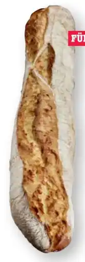 Scheck-in-Center Scheck-in Bäckerei Dinkel Steinofenbaguette Angebot