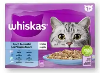 Scheck-in-Center Whiskas Katzennahrung Angebot