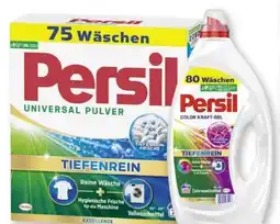 Scheck-in-Center Persil Waschmittel Pulver Angebot