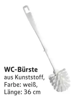 Scheck-in-Center WC Bürste Angebot