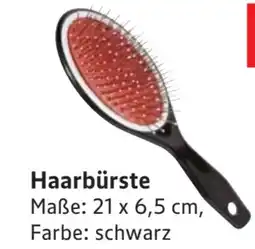 Scheck-in-Center Haarbürsten Angebot