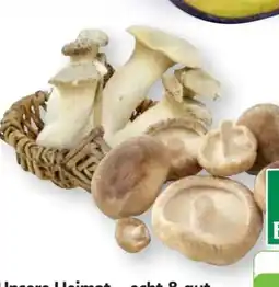 Edeka Unsere Heimat Echt & Gut Bio Shii Take Angebot