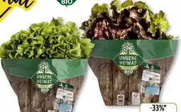 Edeka Unsere Heimat Echt & Gut Bio Bunte Salate Angebot