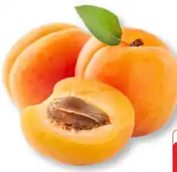 Edeka SanLucar Aprikosen Angebot