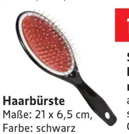 Edeka Haarbürsten Angebot