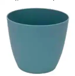 Edeka Blumentopf Angebot