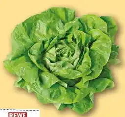 REWE Center Rewe Regional Kopfsalat Angebot
