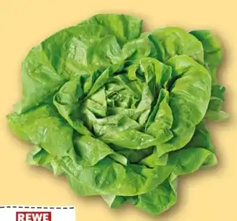 REWE Center Rewe Regional Kopfsalat Angebot