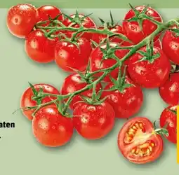 REWE Center Rewe Feine Welt Mini Cherry Rispentomaten Angebot