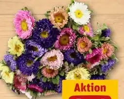 REWE Center Sommerastern Angebot