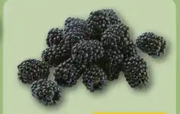 REWE Center Brombeeren Angebot