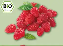 REWE Center Rewe Bio Bio-Himbeeren Angebot
