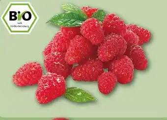 REWE Center Rewe Bio Bio-Himbeeren Angebot