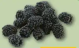 REWE Brombeeren Angebot