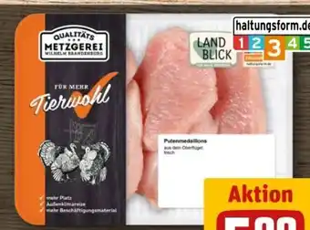 REWE Center Metzgerei Wilhelm Brandenburg Puten-Medaillons Angebot