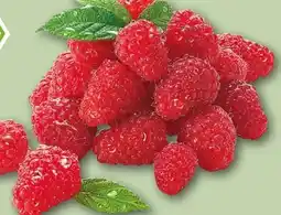 REWE Rewe Bio Bio-Himbeeren Angebot