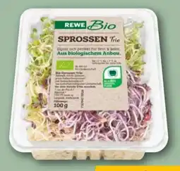 REWE Rewe Bio Sprossen Trio Angebot