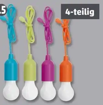 PENNY LED-Ziehleuchten Angebot