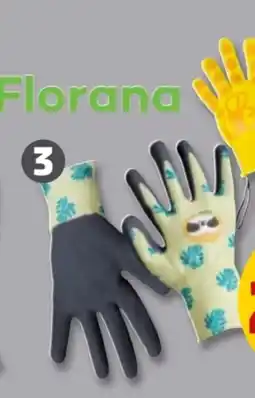 PENNY Florana Gartenhandschuhe Angebot