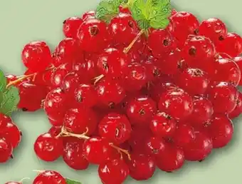 REWE Johannisbeeren Angebot