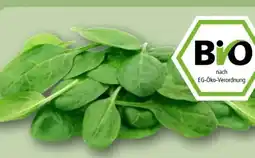 REWE Rewe Bio Babyspinat Angebot