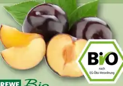 REWE Rewe Bio Pflaumen Angebot
