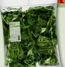 REWE Spinat Angebot