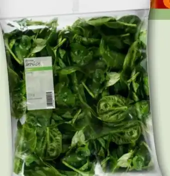 REWE Spinat Angebot