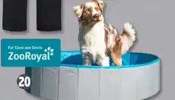 PENNY ZooRoyal Hundepool Angebot