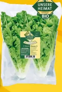 EDEKA Bandelt Unsere Heimat Bio Salatherzen Mini Romana Angebot