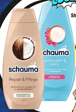 EDEKA Bandelt Schwarzkopf Schauma Shampoo Angebot