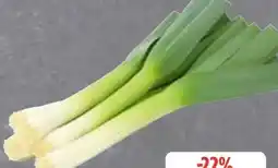 Edeka Porree Angebot