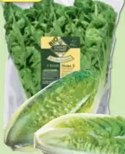Edeka Unsere Heimat Mini Romana Salatherzen Angebot