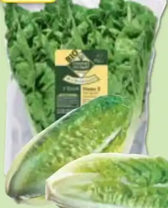 Edeka Unsere Heimat Mini Romana Salatherzen Angebot