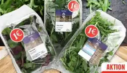 Edeka Unsere Heimat Rucola Angebot