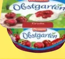 Edeka Ehrmann Obstgarten Erdbeere Angebot