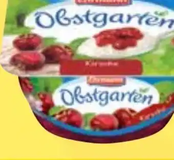 Edeka Ehrmann Obstgarten Erdbeere Angebot