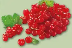REWE Center Rote Johannisbeeren Angebot