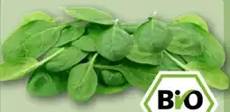 REWE Center Rewe Bio Baby Spinat Angebot