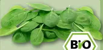REWE Center Rewe Bio Baby Spinat Angebot