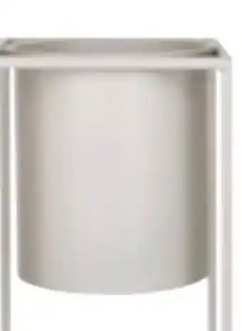 Mömax Kunstpflanze Pennisetum Angebot