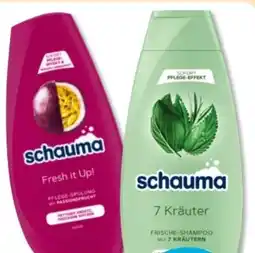 Budni Schwarzkopf Schauma Shampoo Fresh it Up! Angebot