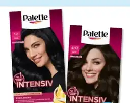 Budni Palette Intensive-Creme-Coloration Angebot