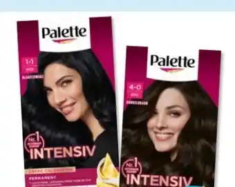 Budni Palette Intensive-Creme-Coloration Angebot