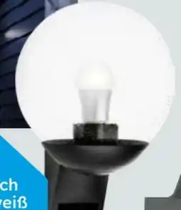Globus Baumarkt Steinel Sensor-Außenleuchte L 585 S Angebot